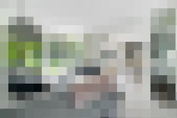 Spiekerbrink 40 Zwolle thumbnail 11