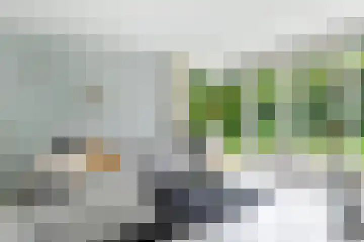 Spiekerbrink 40 Zwolle thumbnail 12
