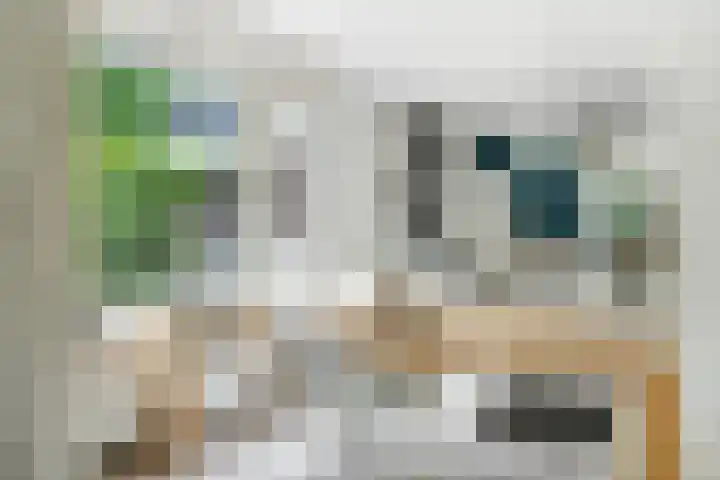 Spiekerbrink 40 Zwolle thumbnail 13