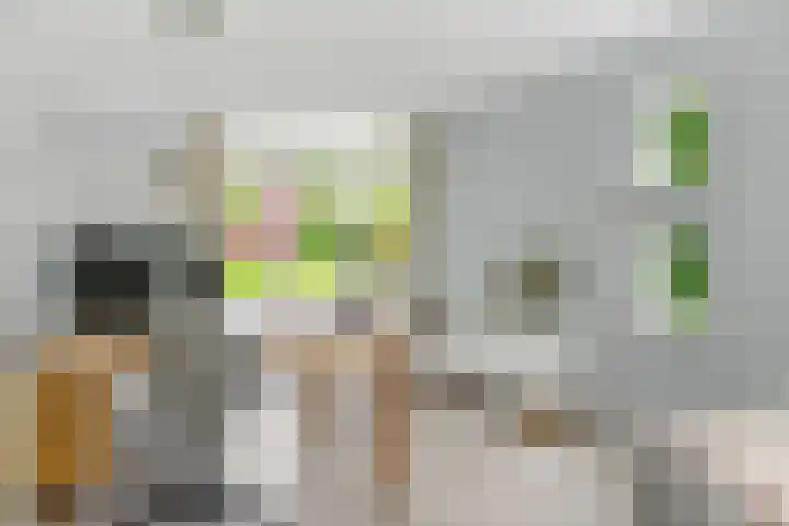 Spiekerbrink 40 Zwolle thumbnail 15