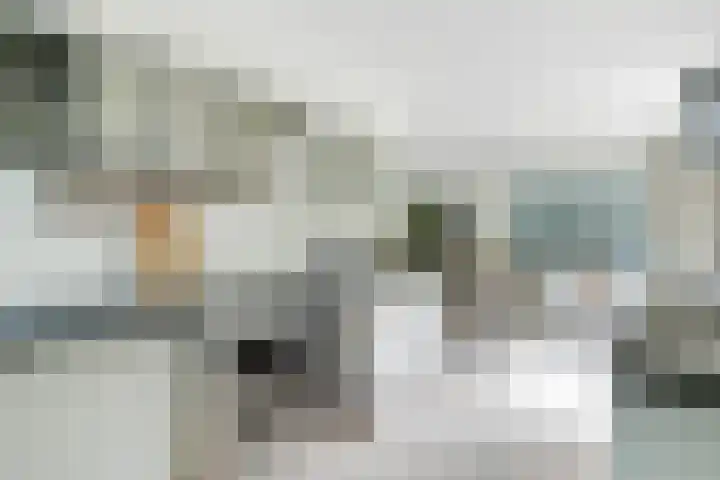 Spiekerbrink 40 Zwolle thumbnail 17
