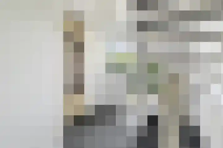 Spiekerbrink 40 Zwolle thumbnail 19