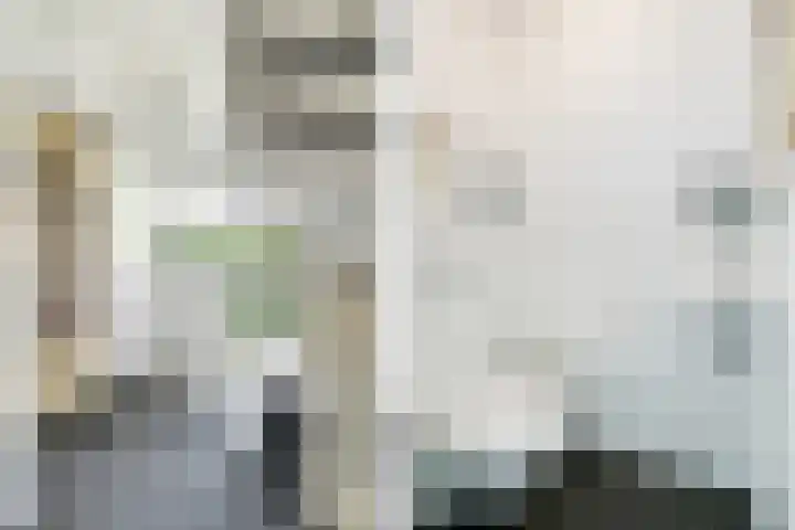 Spiekerbrink 40 Zwolle thumbnail 20