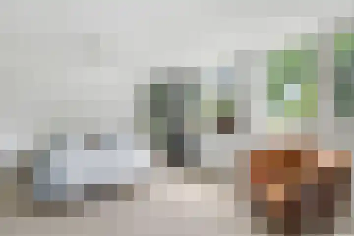 Spiekerbrink 40 Zwolle thumbnail 21