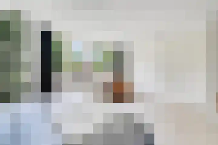 Spiekerbrink 40 Zwolle thumbnail 23