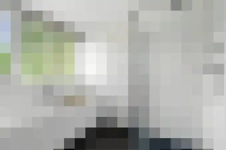 Spiekerbrink 40 Zwolle thumbnail 27
