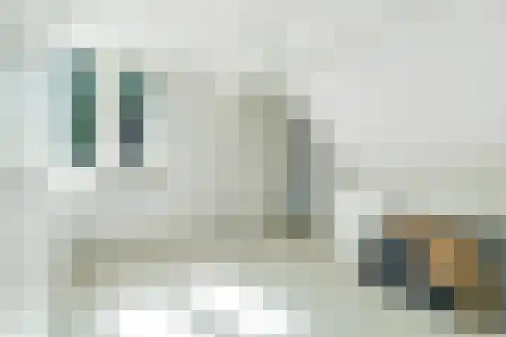 Spiekerbrink 40 Zwolle thumbnail 29