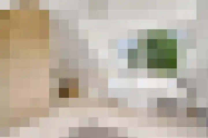 Spiekerbrink 40 Zwolle thumbnail 30