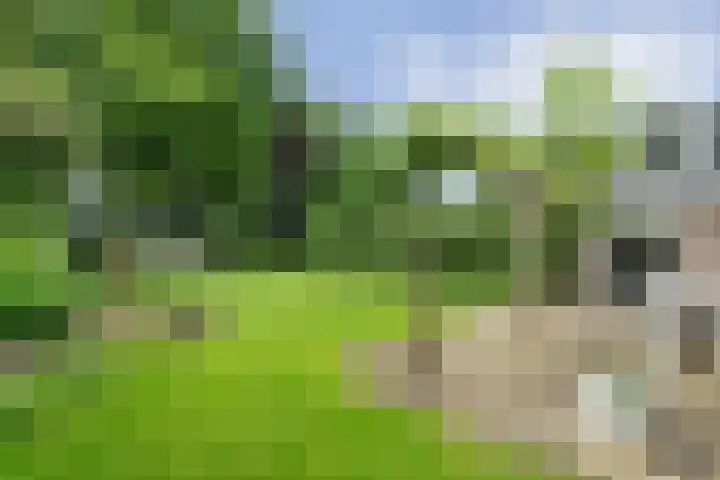 Spiekerbrink 40 Zwolle thumbnail 34