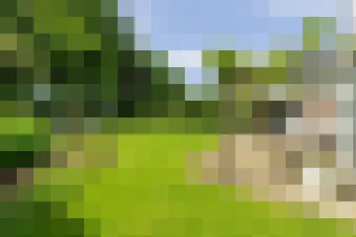Spiekerbrink 40 Zwolle thumbnail 35