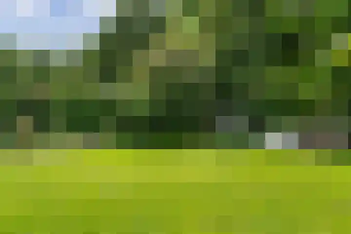 Spiekerbrink 40 Zwolle thumbnail 36