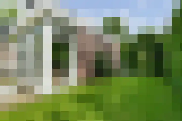 Spiekerbrink 40 Zwolle thumbnail 37