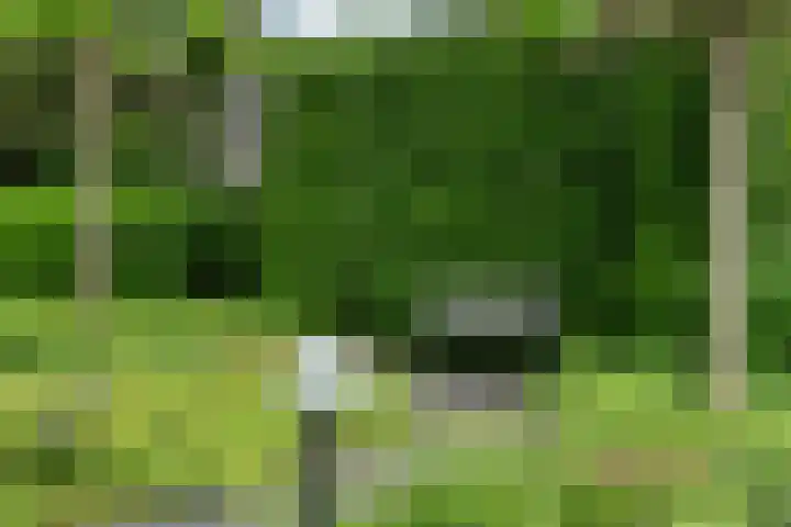 Spiekerbrink 40 Zwolle thumbnail 38