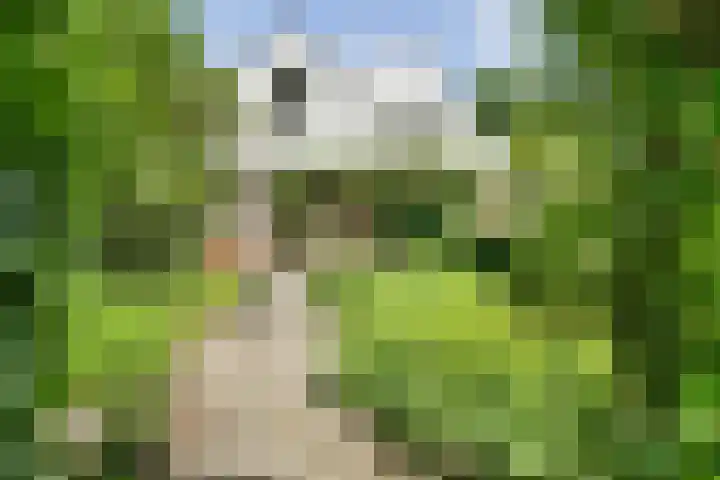 Spiekerbrink 40 Zwolle thumbnail 39