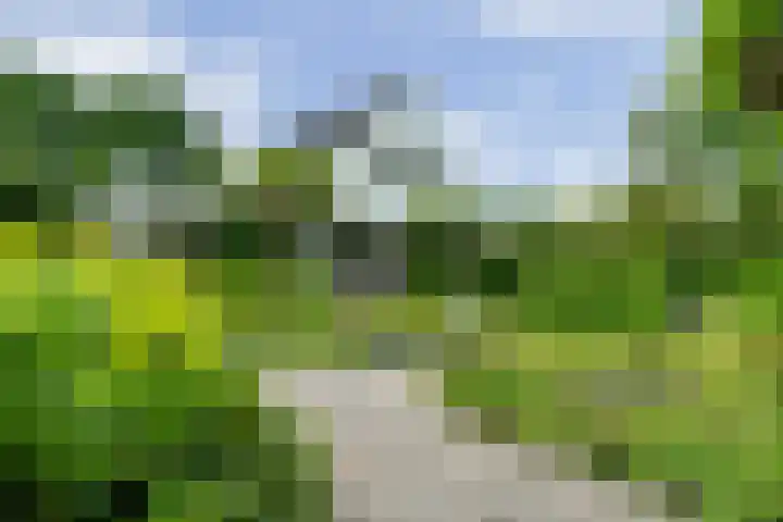 Spiekerbrink 40 Zwolle thumbnail 4