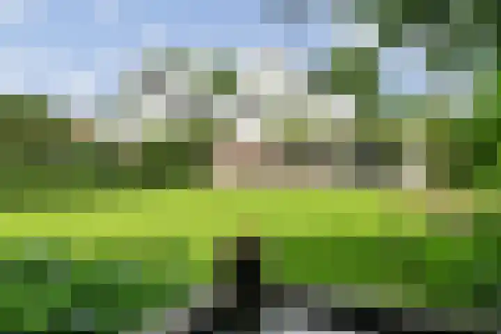 Spiekerbrink 40 Zwolle thumbnail 40
