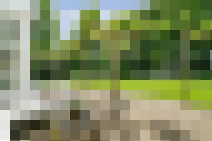 Spiekerbrink 40 Zwolle thumbnail 41