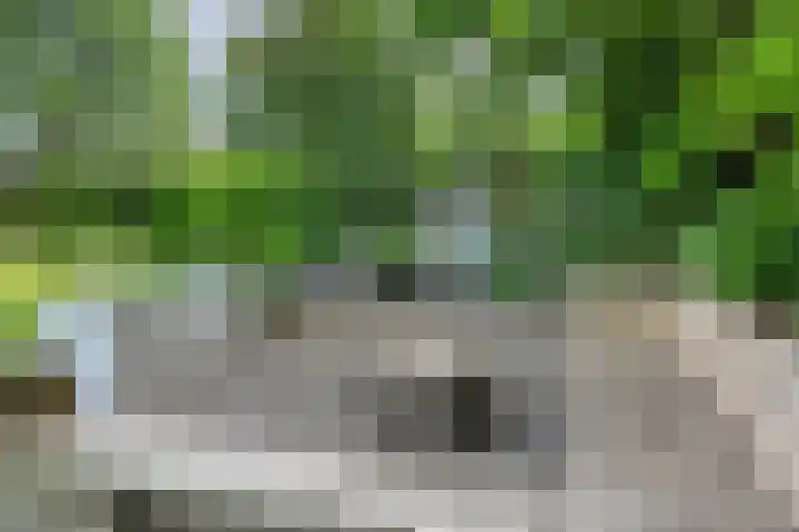 Spiekerbrink 40 Zwolle thumbnail 42