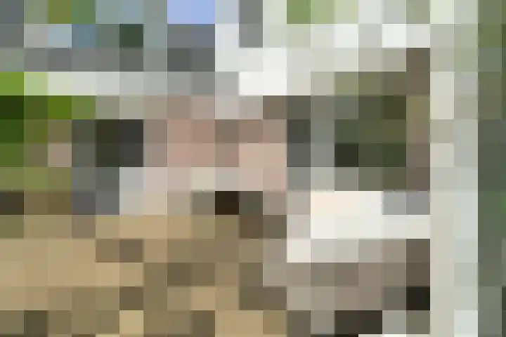 Spiekerbrink 40 Zwolle thumbnail 43