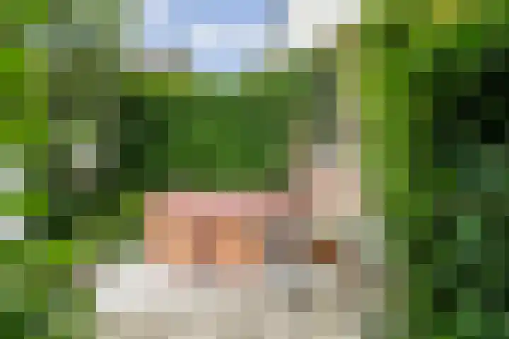 Spiekerbrink 40 Zwolle thumbnail 44