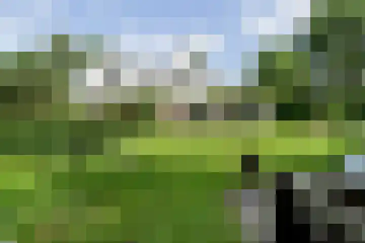 Spiekerbrink 40 Zwolle thumbnail 45