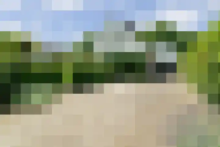 Spiekerbrink 40 Zwolle thumbnail 46