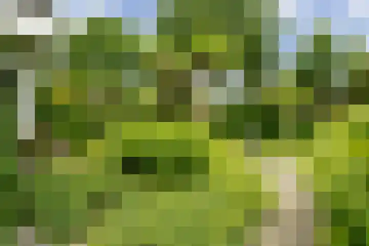 Spiekerbrink 40 Zwolle thumbnail 5