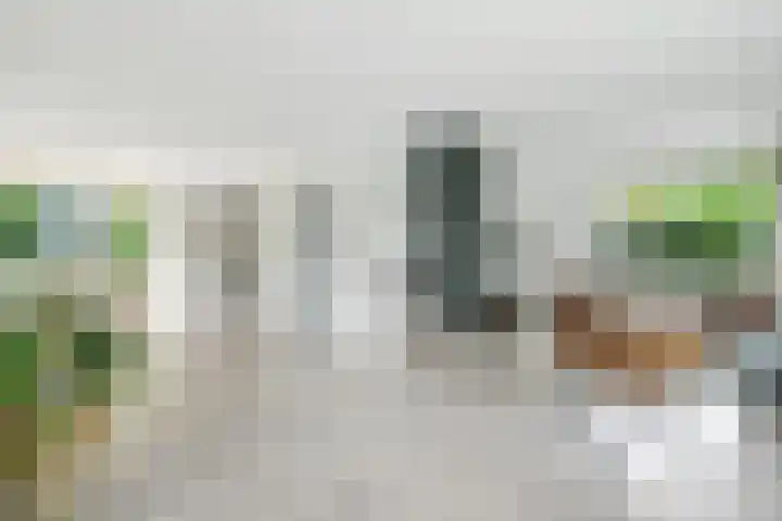 Spiekerbrink 40 Zwolle thumbnail 6