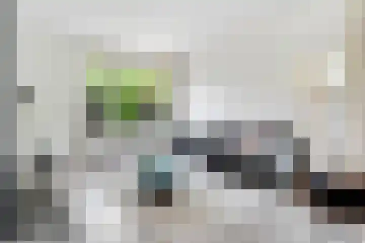 Spiekerbrink 40 Zwolle thumbnail 7