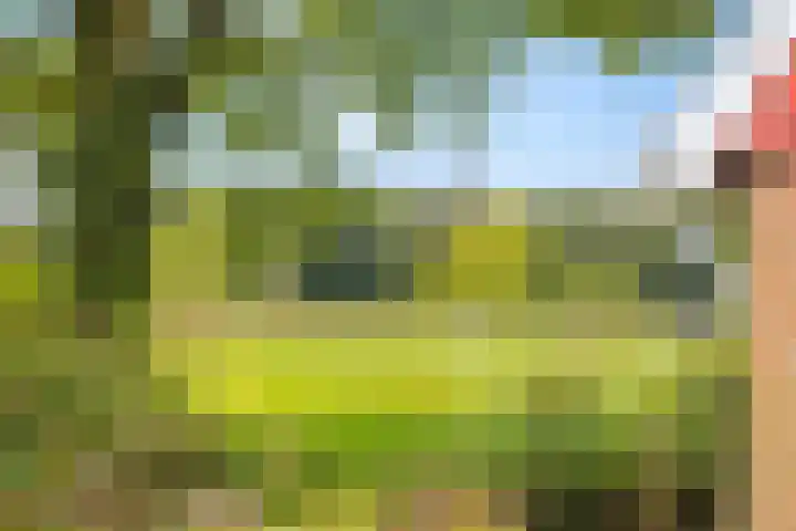 Spiekerdijk 6 Aalten thumbnail 10