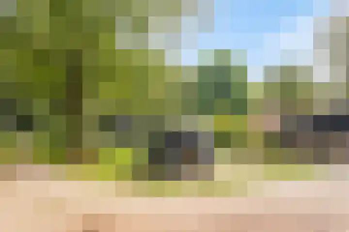 Spiekerdijk 6 Aalten thumbnail 13