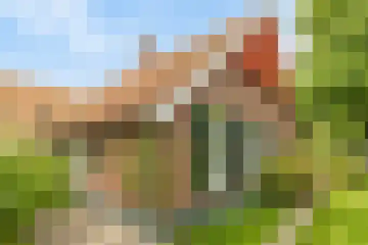 Spiekerdijk 6 Aalten thumbnail 17