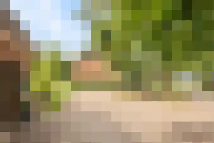 Spiekerdijk 6 Aalten thumbnail 18