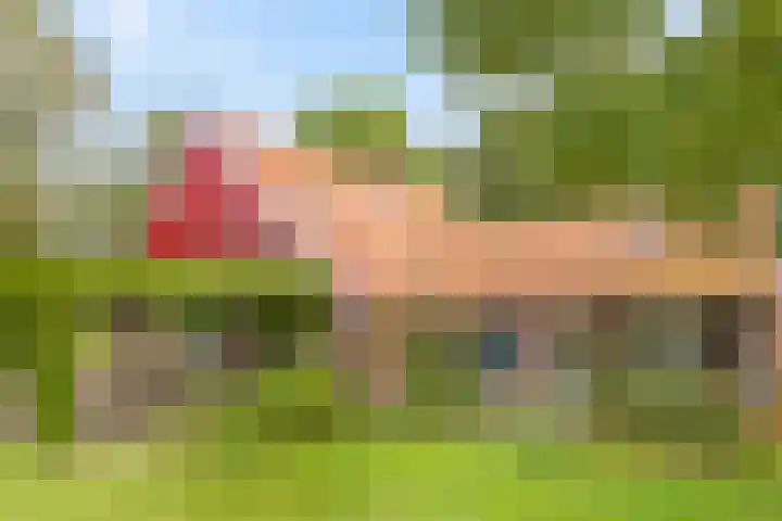 Spiekerdijk 6 Aalten thumbnail 20