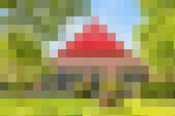 Spiekerdijk 6 Aalten thumbnail 4