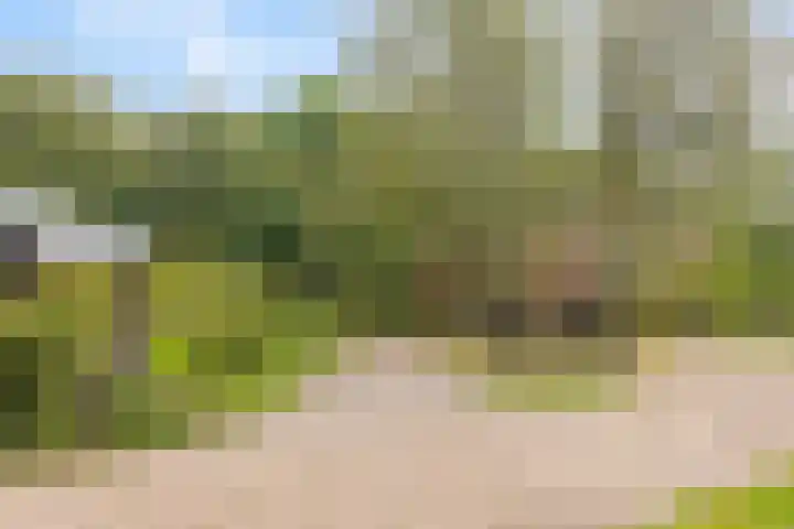 Spiekerdijk 6 Aalten thumbnail 5