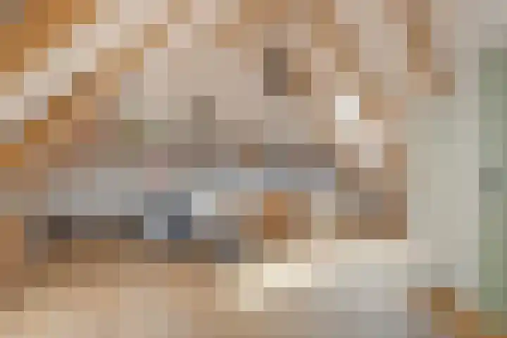 Spiekerdijk 6 Aalten thumbnail 53