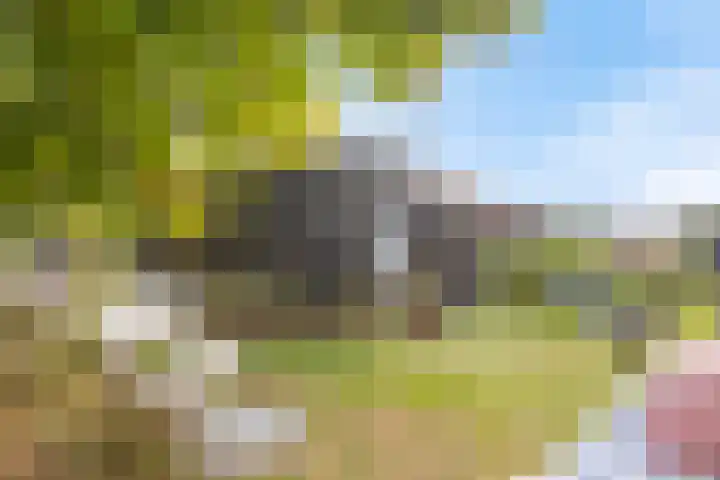 Spiekerdijk 6 Aalten thumbnail 74