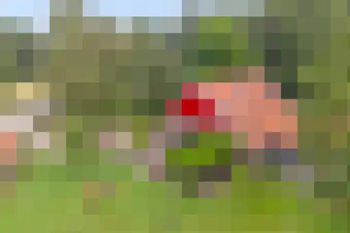 Spiekerdijk 6 Aalten thumbnail 78