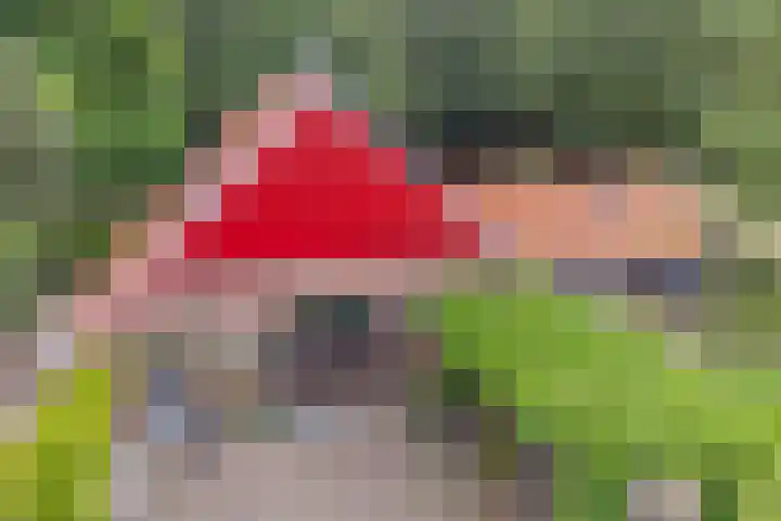 Spiekerdijk 6 Aalten thumbnail 79