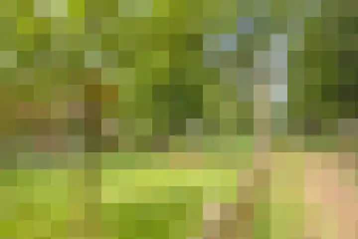 Spiekerdijk 6 Aalten thumbnail 8