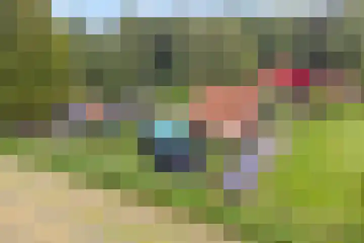 Spiekerdijk 6 Aalten thumbnail 80