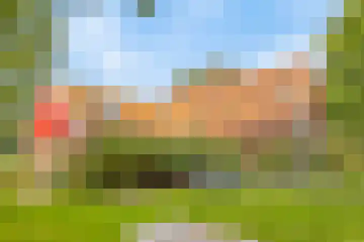 Spiekerdijk 6 Aalten thumbnail 9