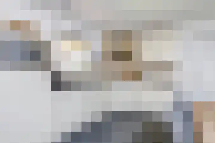 Spiekergoed 5 Maasbree thumbnail 14