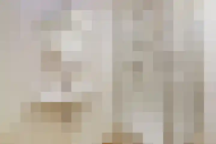 Spiekergoed 5 Maasbree thumbnail 21