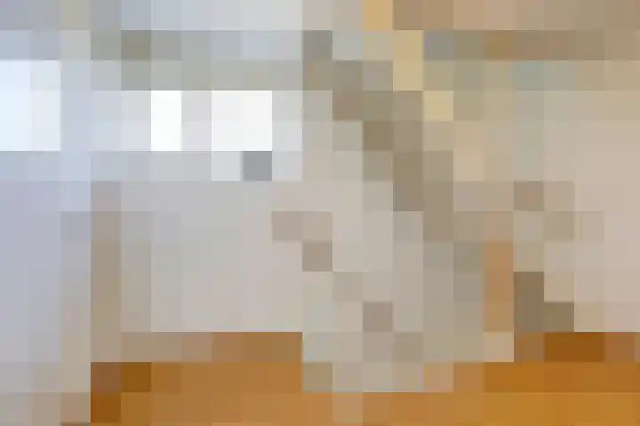 Spiekergoed 5 Maasbree thumbnail 22
