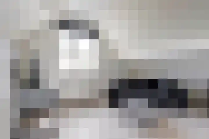 Spiekergoed 5 Maasbree thumbnail 24