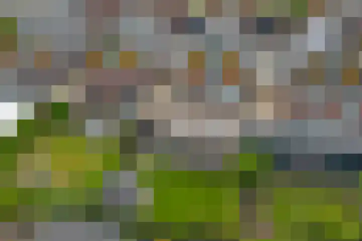 Spiekergoed 5 Maasbree thumbnail 34