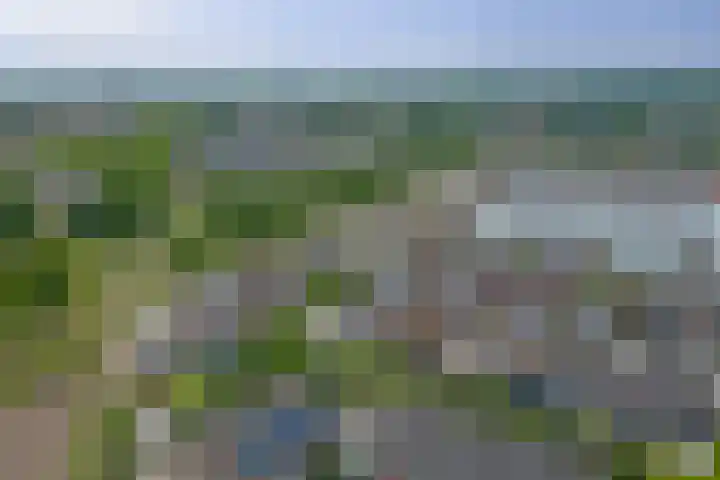 Spiekergoed 5 Maasbree thumbnail 35
