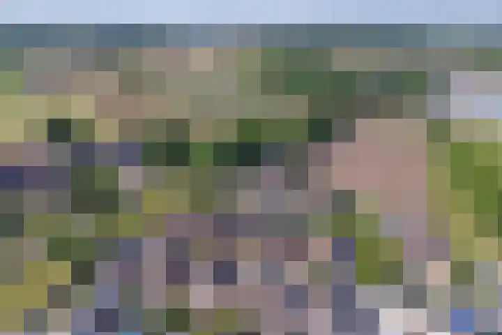Spiekergoed 5 Maasbree thumbnail 36